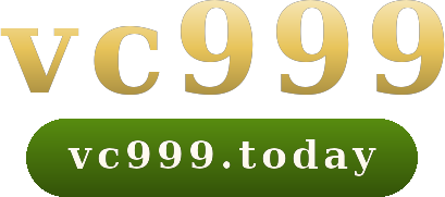 vc999 logo